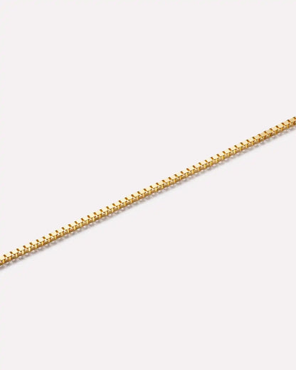 Solid Yellow Gold - Gold Mini Box Chain Bracelet